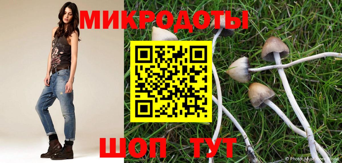 Джанкой  Галлюциногенные грибы Cubensis  Вход с VPN 